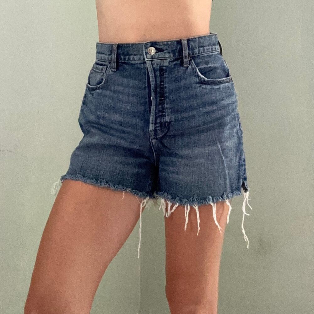 PacSun High Rise Icon Denim Jean Shorts Size 28 Raw Hem Cut Off Button Fly 90s